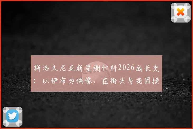 斯洛文尼亚新星谢什科2026成长史：以伊布为偶像，在街头与花园模仿练就杀手本能